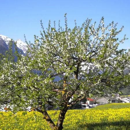 Farm stay Weberhof Trins