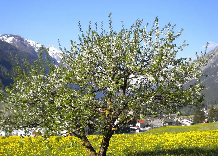 Gospodarstwo agroturystyczne Weberhof Trins