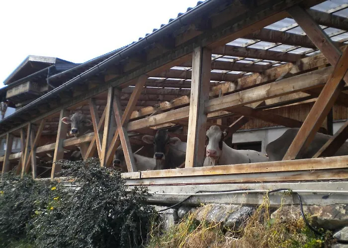 农家乐 Weberhof 堤林斯